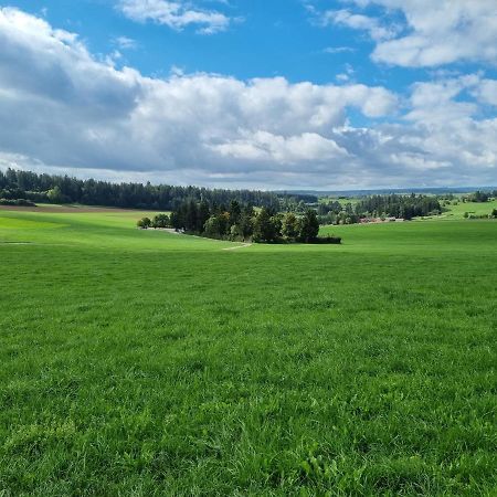 Modern Eingerichtete 3-Zi-Ferienwohnung Zu Vermieten Löffingen Dış mekan fotoğraf