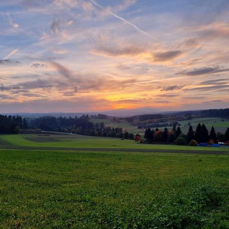 Modern Eingerichtete 3-Zi-Ferienwohnung Zu Vermieten Löffingen Dış mekan fotoğraf