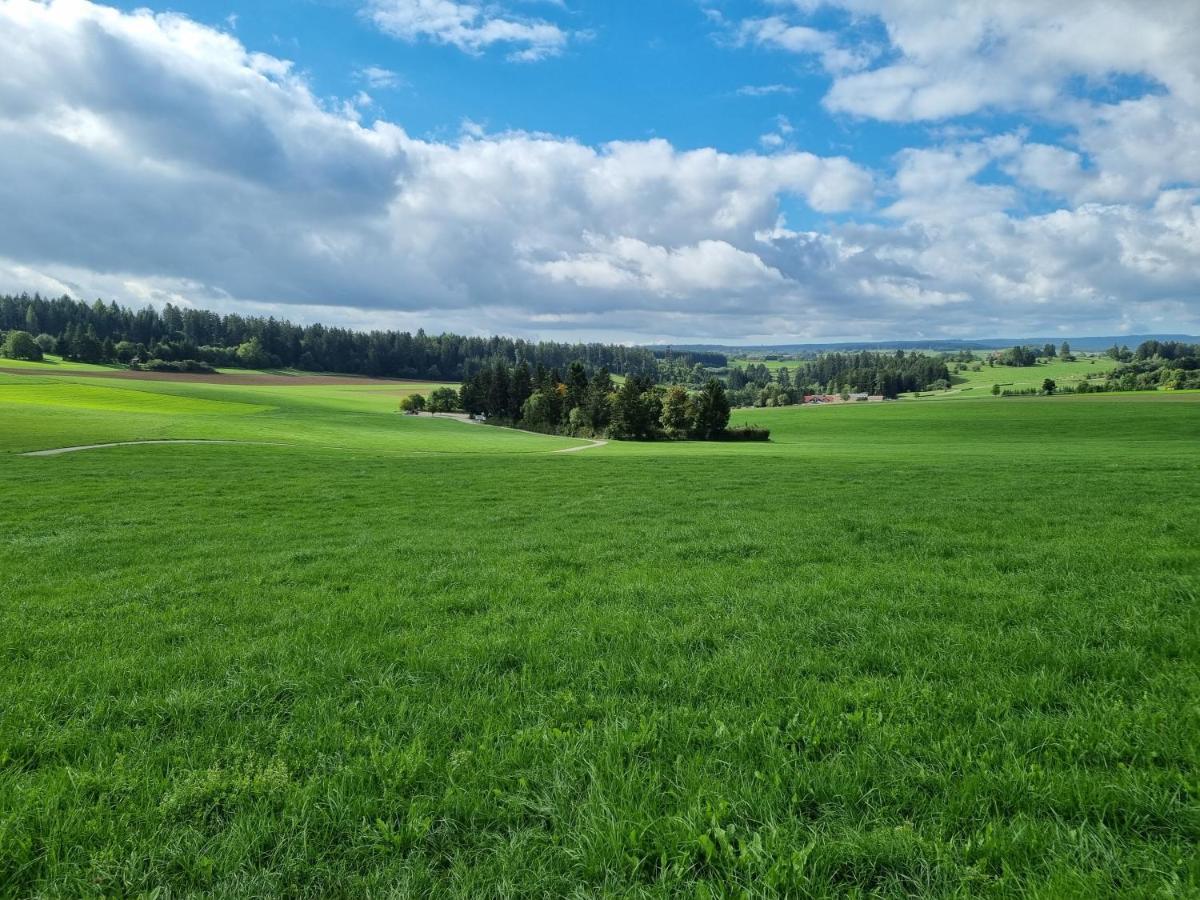 Modern Eingerichtete 3-Zi-Ferienwohnung Zu Vermieten Löffingen Dış mekan fotoğraf